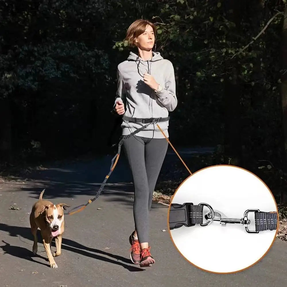 FreePaws Hands-Free Dog Leash - Reflective Running & Hiking Leash