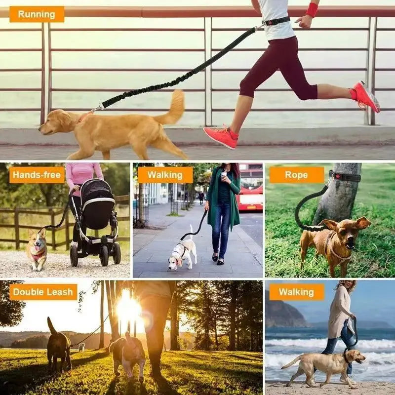 FreePaws Hands-Free Dog Leash - Reflective Running & Hiking Leash