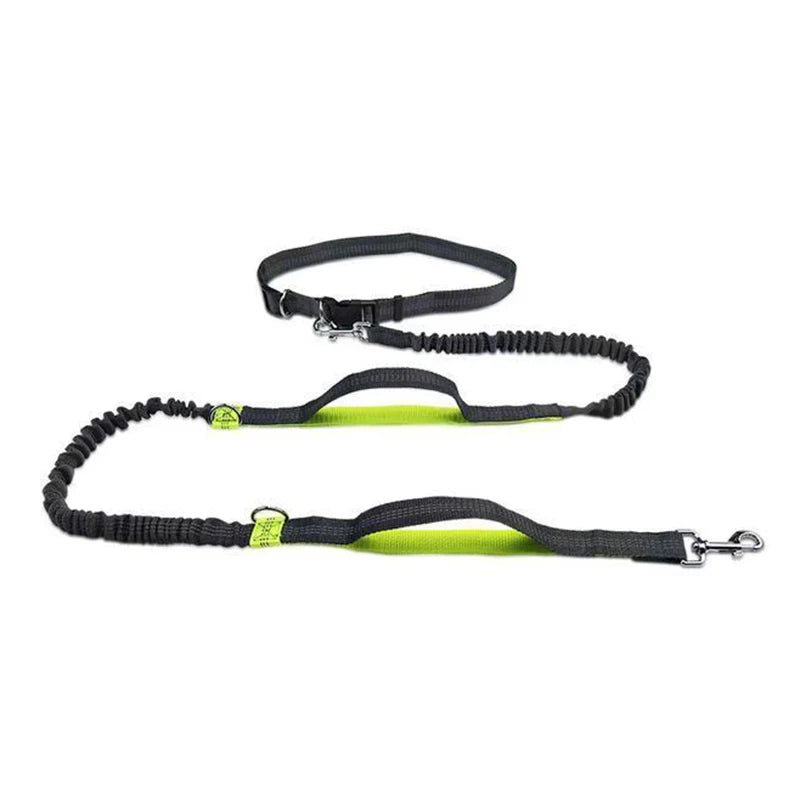 FreePaws Hands-Free Dog Leash - Reflective Running & Hiking Leash
