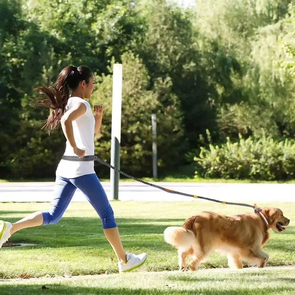 FreePaws Hands-Free Dog Leash - Reflective Running & Hiking Leash