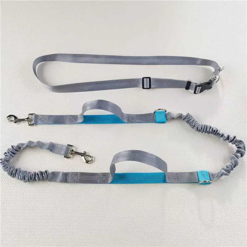 FreePaws Hands-Free Dog Leash - Reflective Running & Hiking Leash