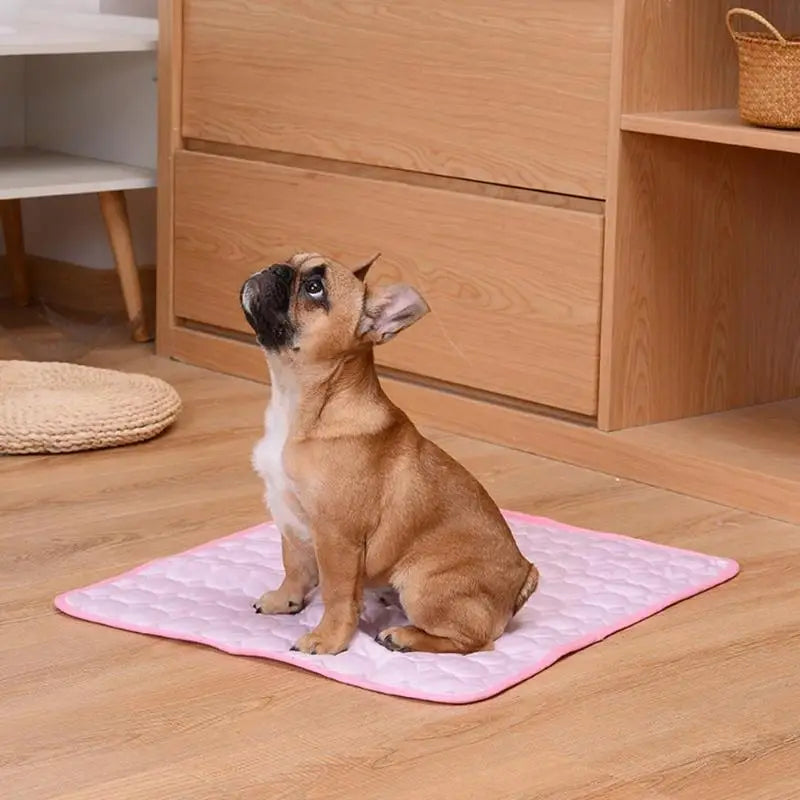 CoolRest Pro - Self-Cooling Pet Mat for Dogs & Cats